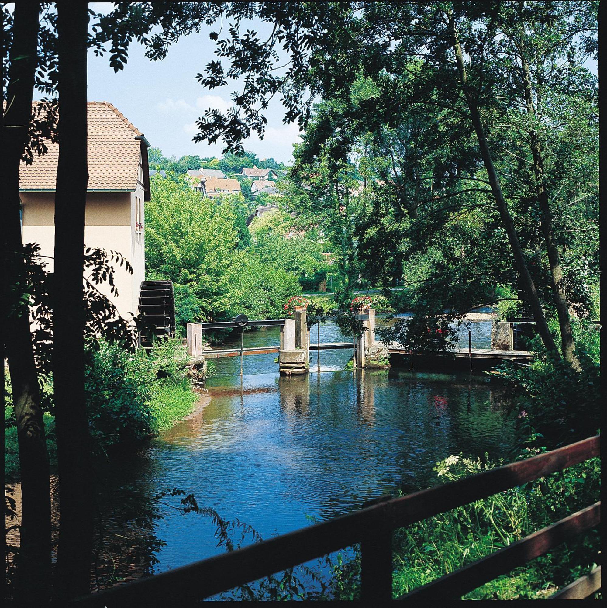 Le Moulin De La Walk Hotel Wissembourg Exterior foto