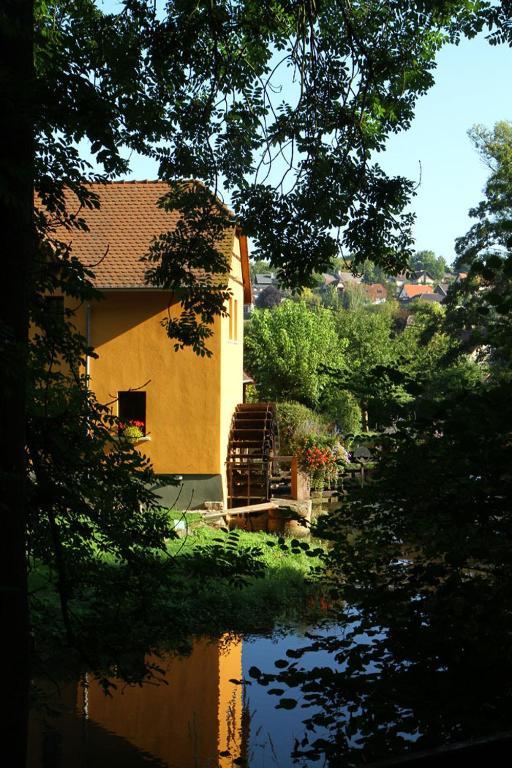 Le Moulin De La Walk Hotel Wissembourg Exterior foto
