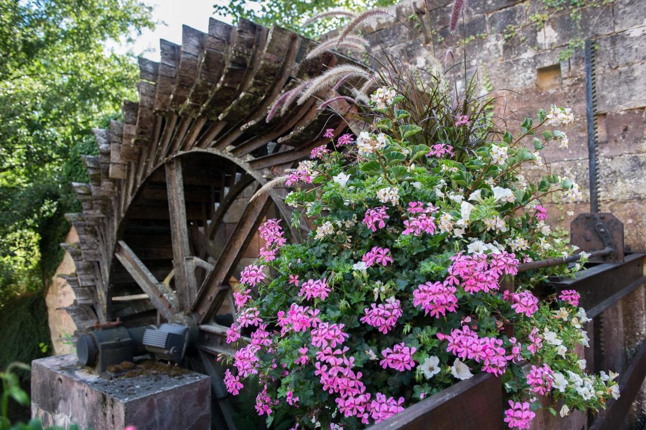 Le Moulin De La Walk Hotel Wissembourg Exterior foto