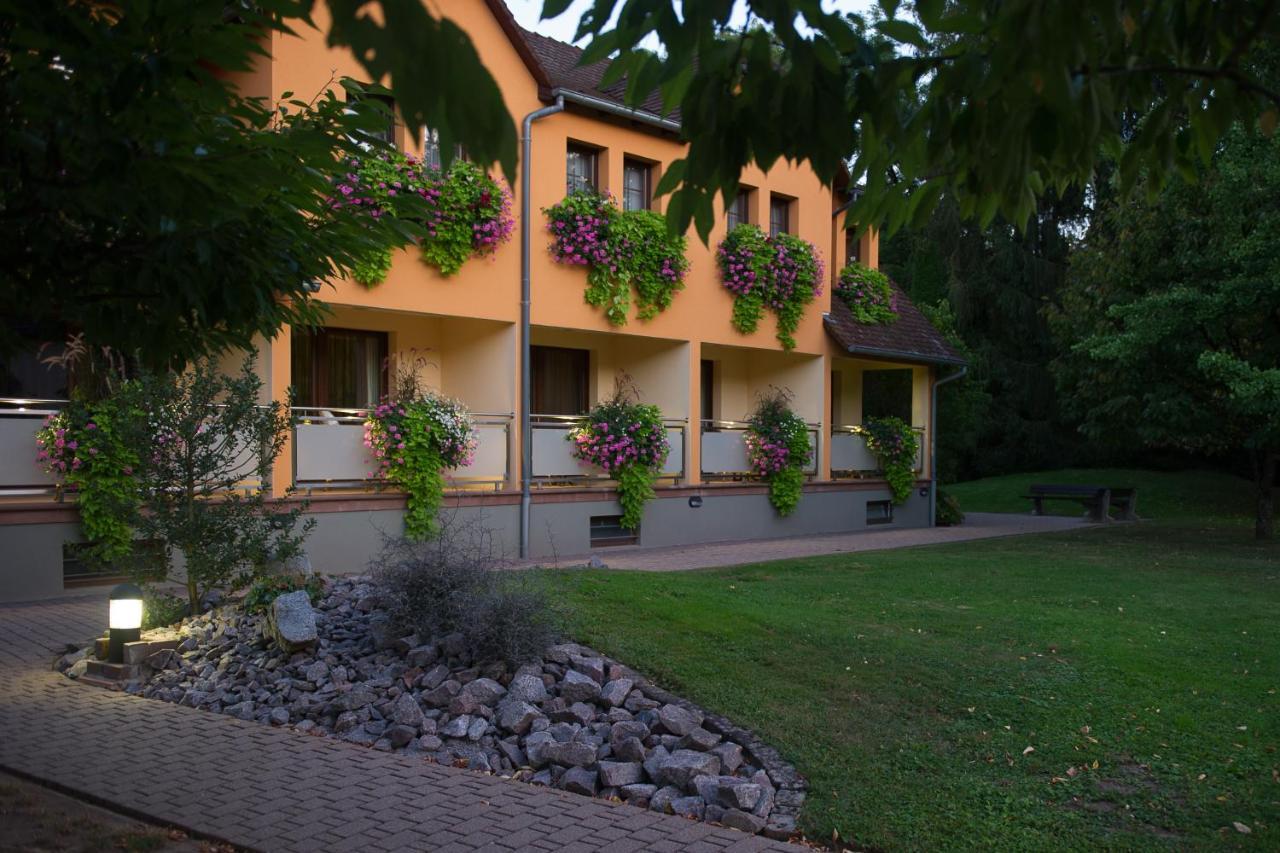 Le Moulin De La Walk Hotel Wissembourg Exterior foto